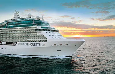 Images of Celebrity Silhouette