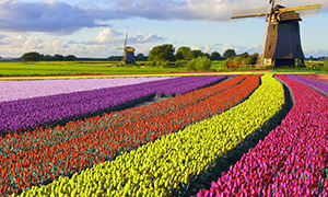 Images of Netherlands