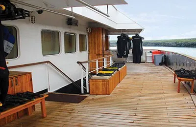Photo 4 of Silver Galapagos